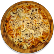 FUNGHI FUNGHI