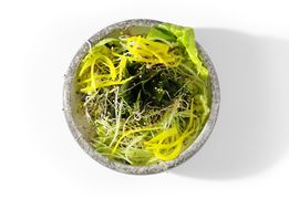 Sałatka wakame
