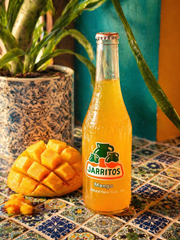 Jarritos 370ml