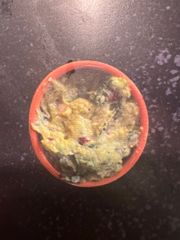 SALSA GUACAMOLE 1/10