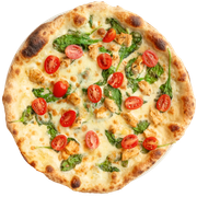 Pizza Pollo Bianca