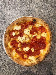 26. PROVOLA