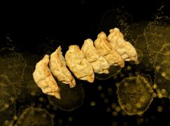 Smażone pierożki z kurczakiem i grzybami - 6 szt