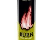 Burn Guava Energy Drink 250 ml Burn Guava Energy Drink 250 ml